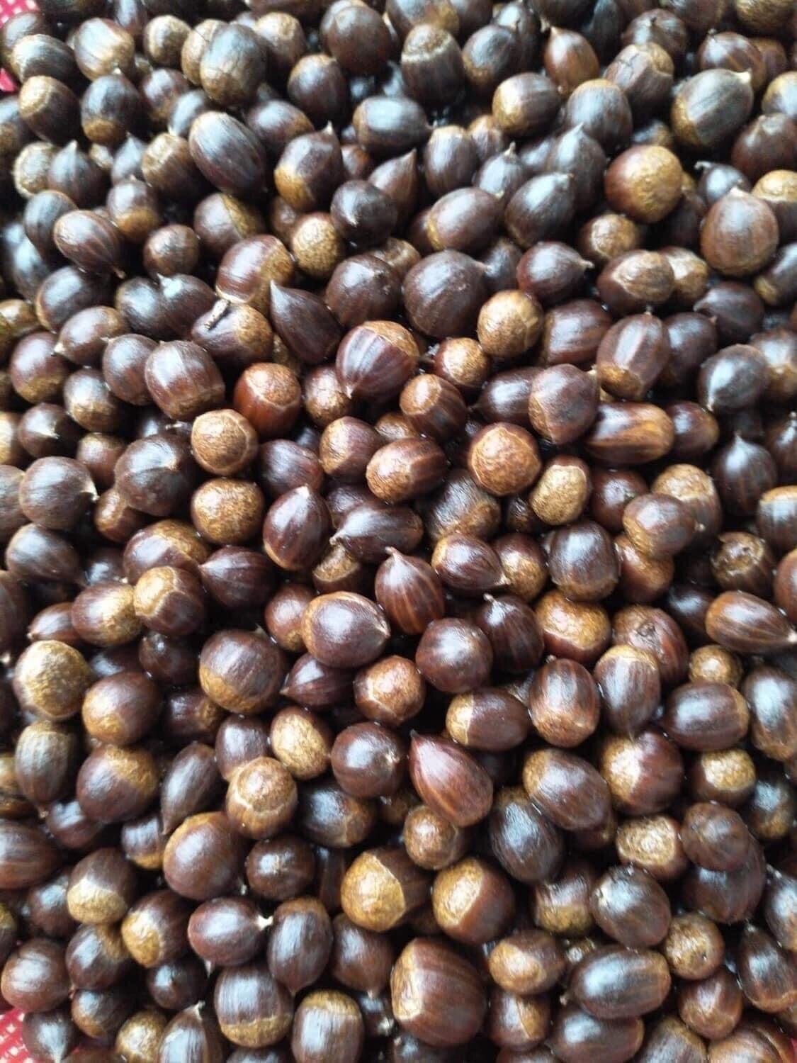1kg hạt dẻ rừng tự nhiên