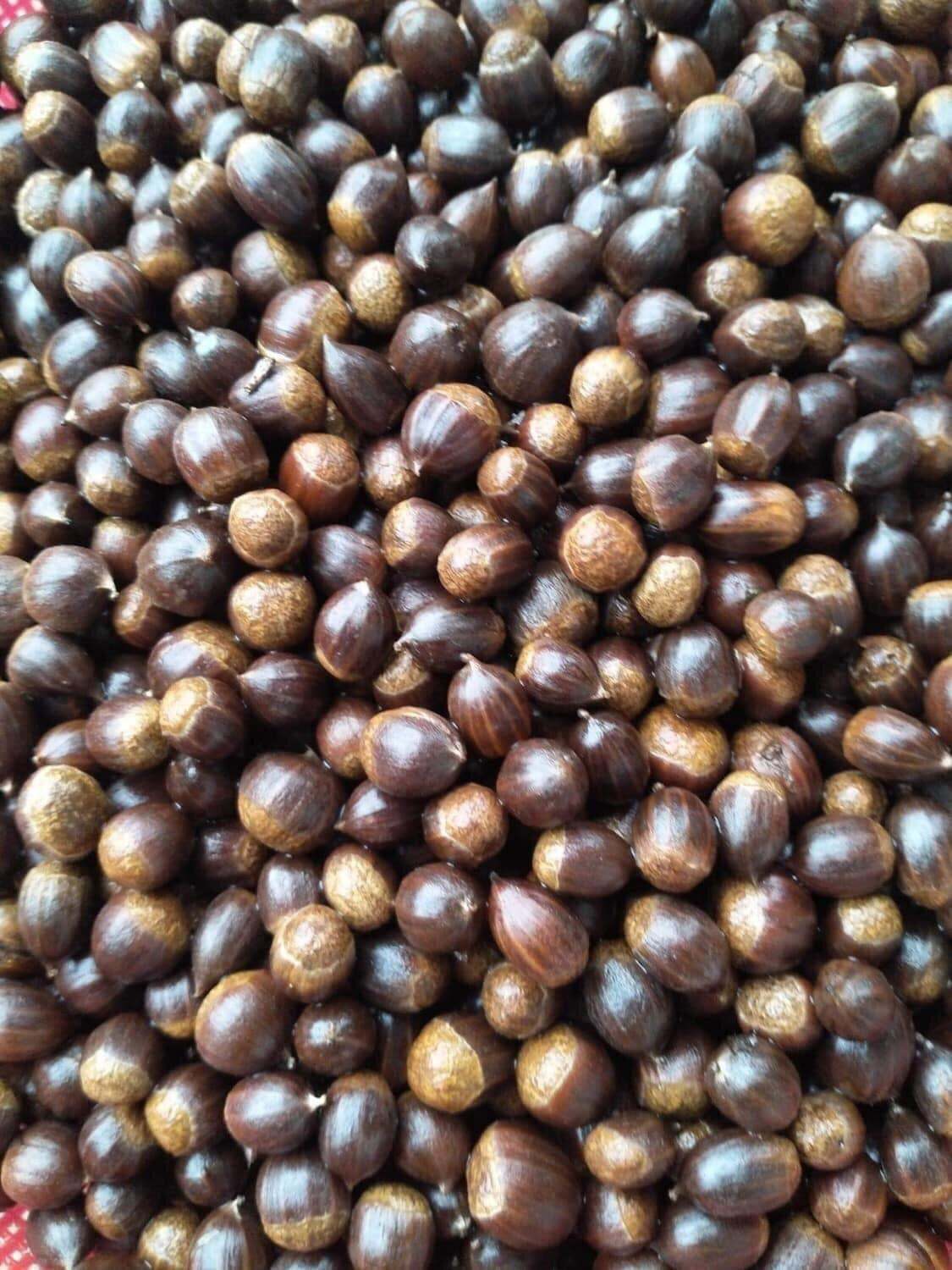 1kg hạt dẻ rừng tự nhiên