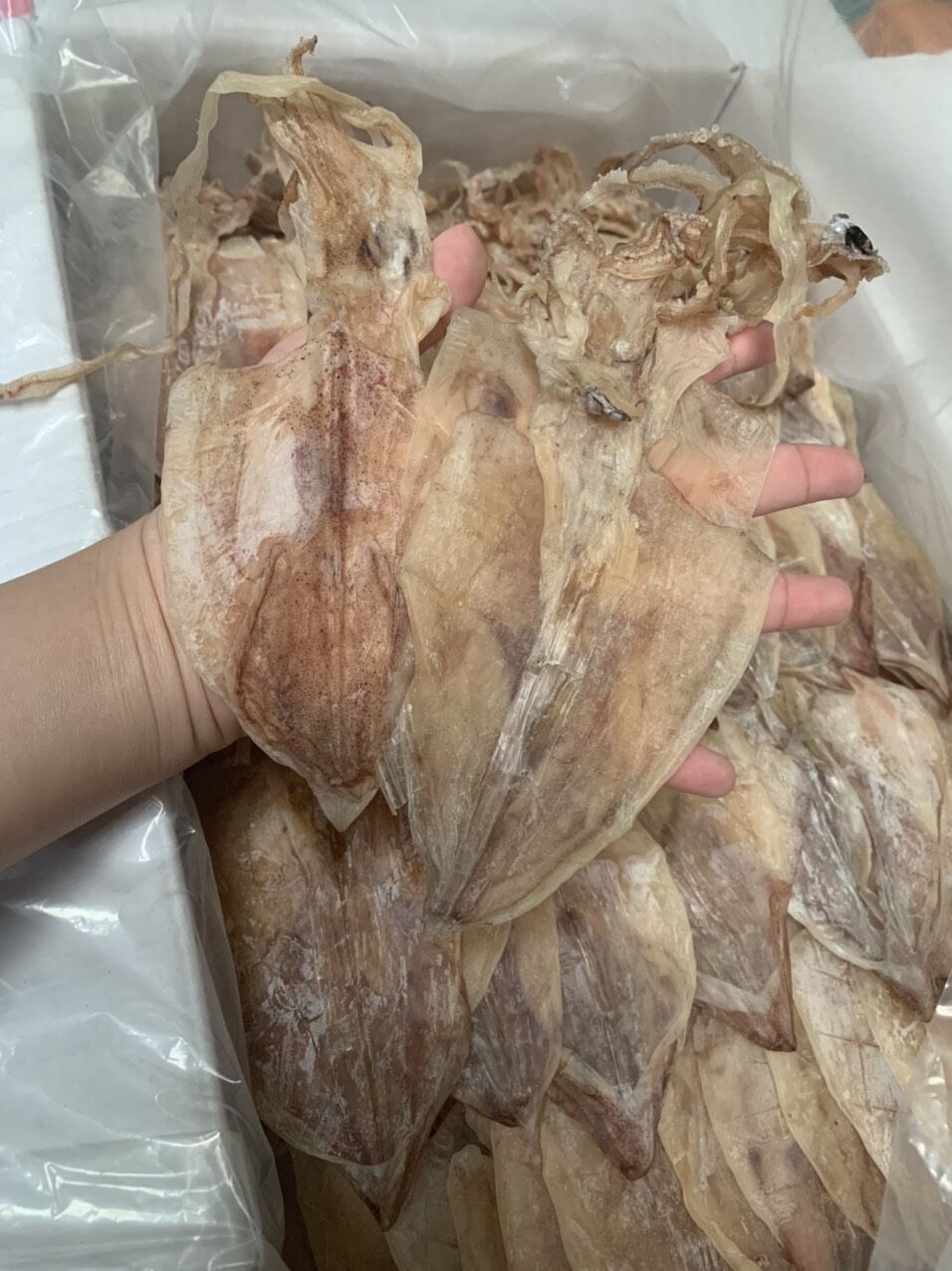 500gr khô mực size 80-100