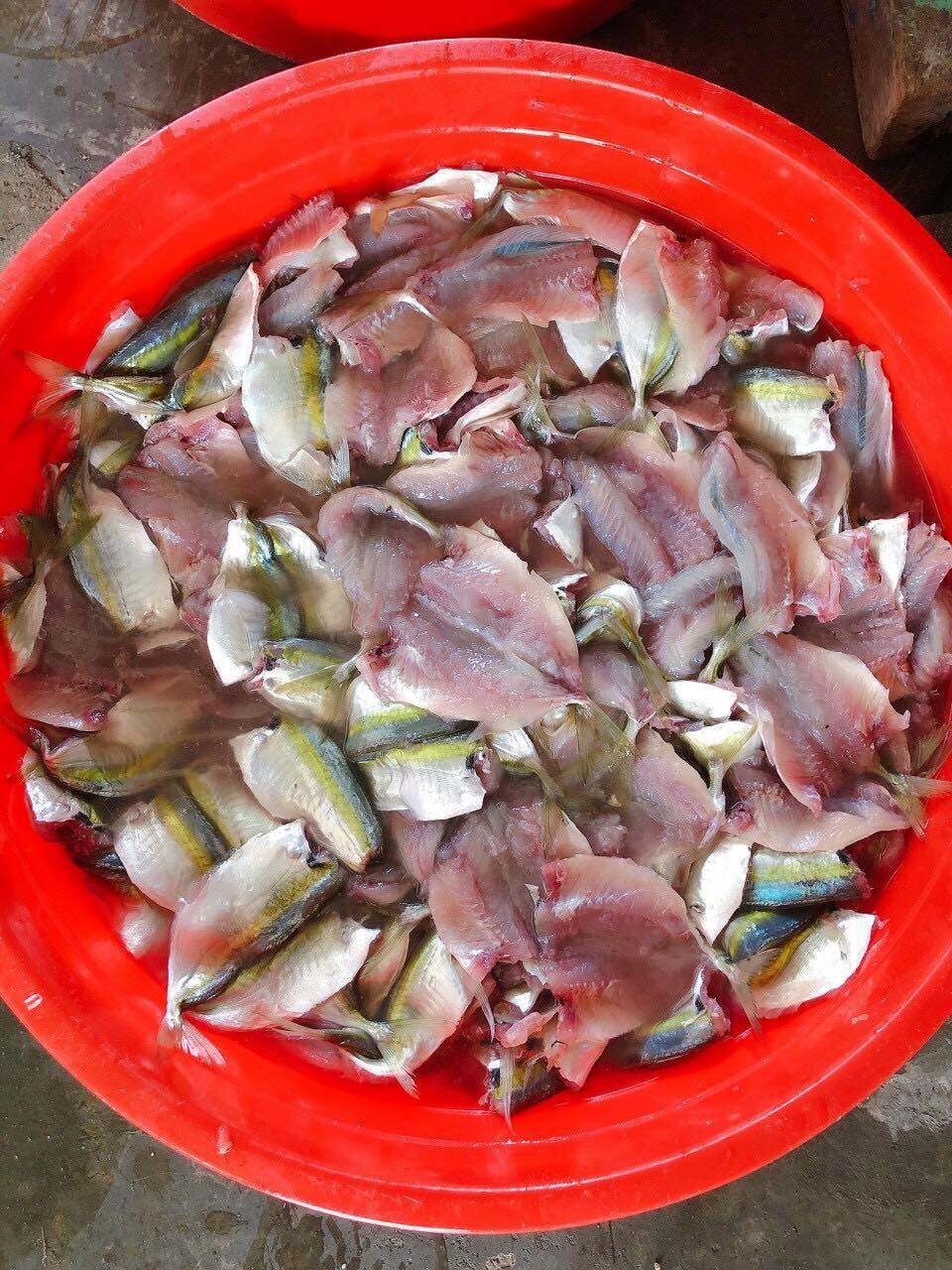 Khô Cá Chỉ Vàng Nha Trang 500 gram