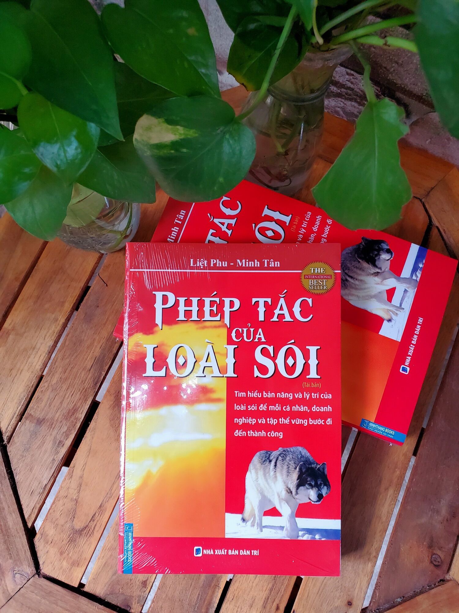 Sách - Phép tắc của loài Sói (tái bản)