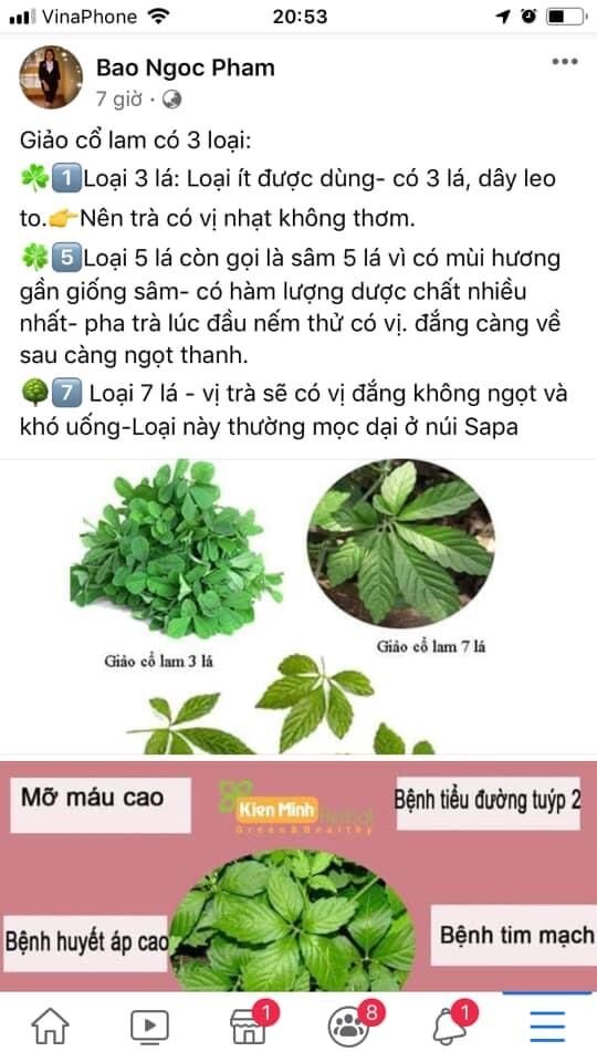 Cao giảo cổ lam nguyên chất 100gram