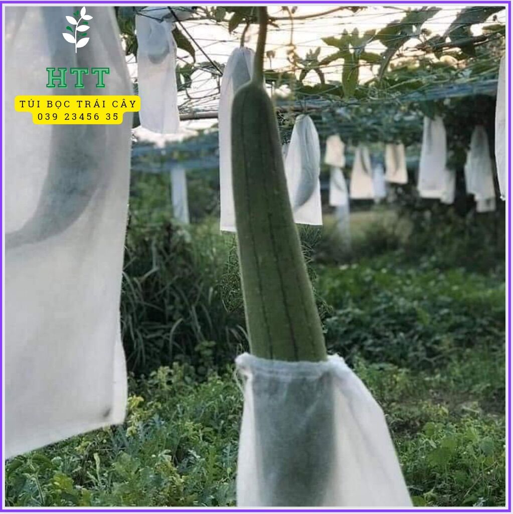 100 cái 25x70cm túi vải tốt giúp bao bọc mướp hương, bầu, bí,... - túi bao trái cây