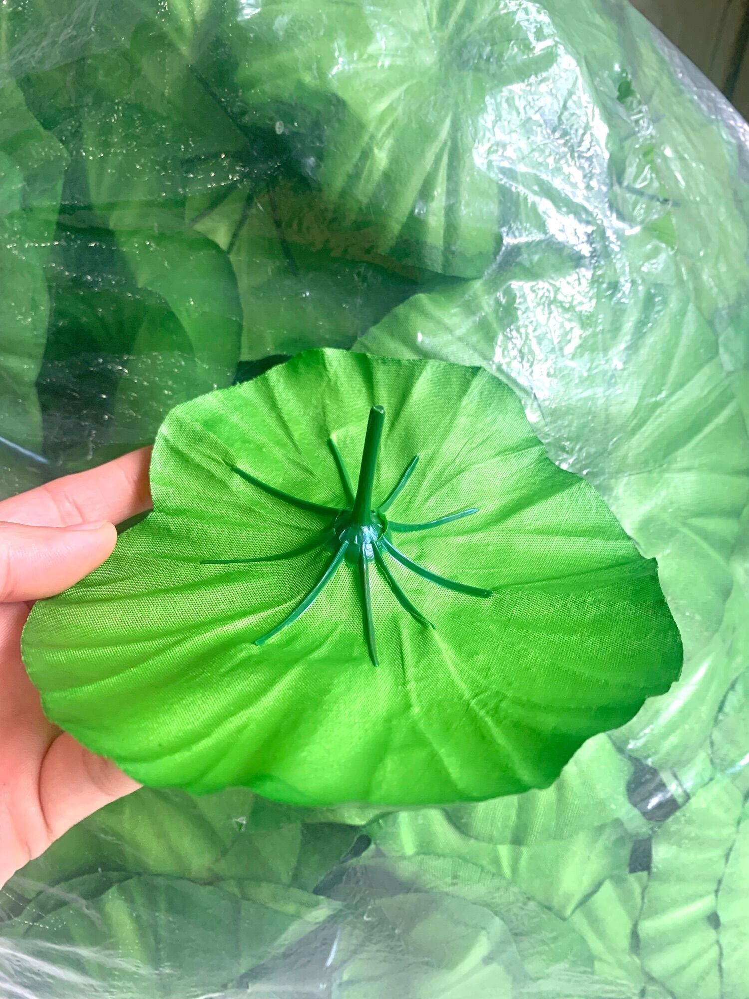Lá sen bằng vải combo 5 lá