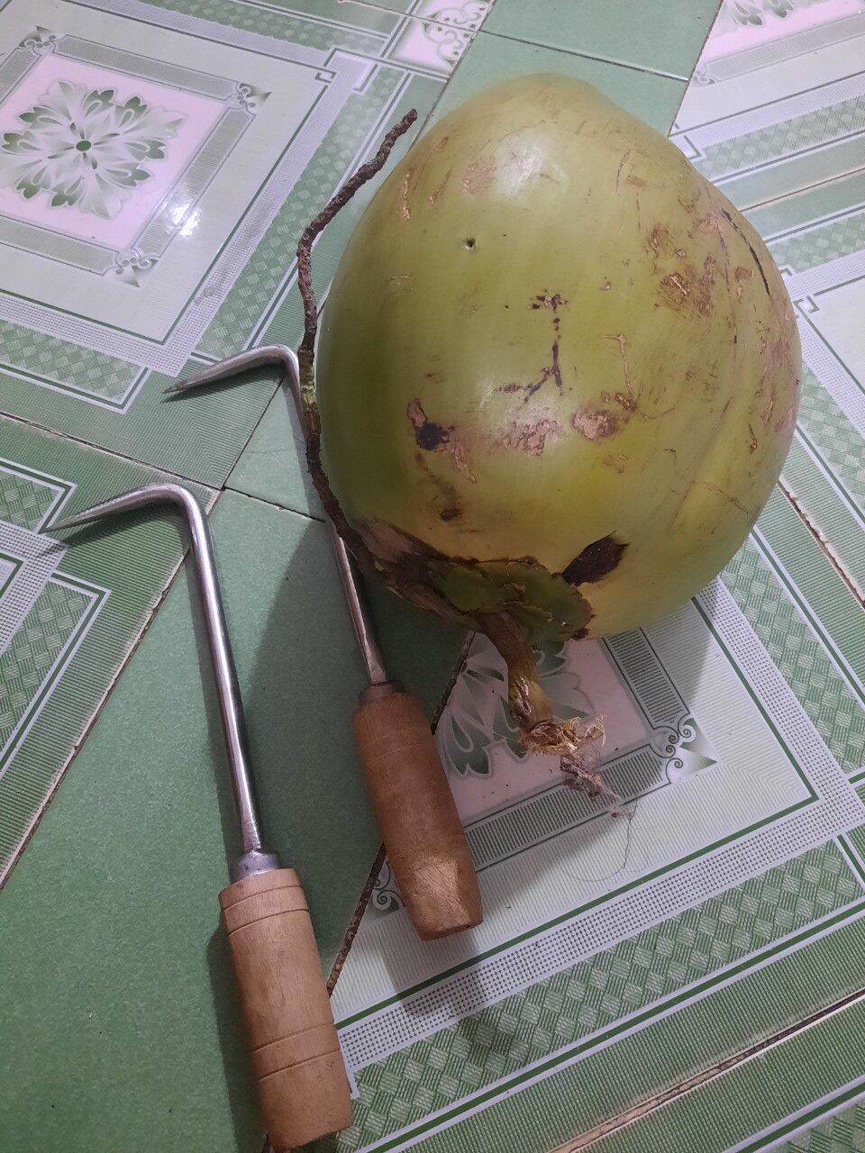 Dụng cụ đục dừa