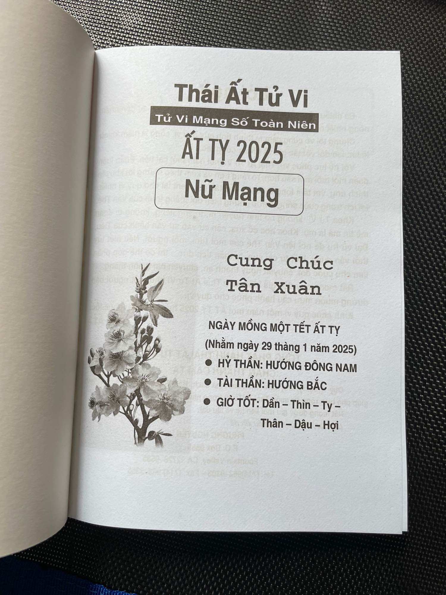 Lịch Thái Ất Tử Vi Toàn Niên 2025