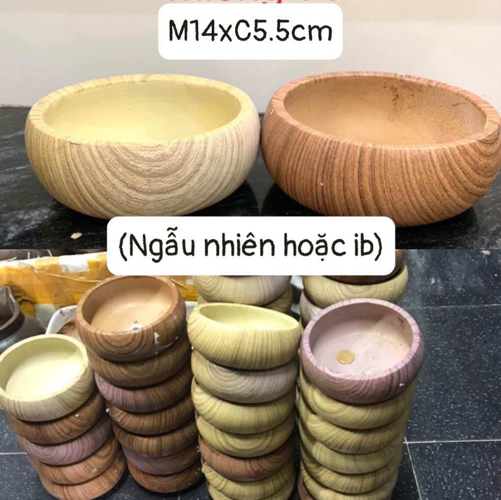 Chậu đúc hình gáo dừa trồng cây