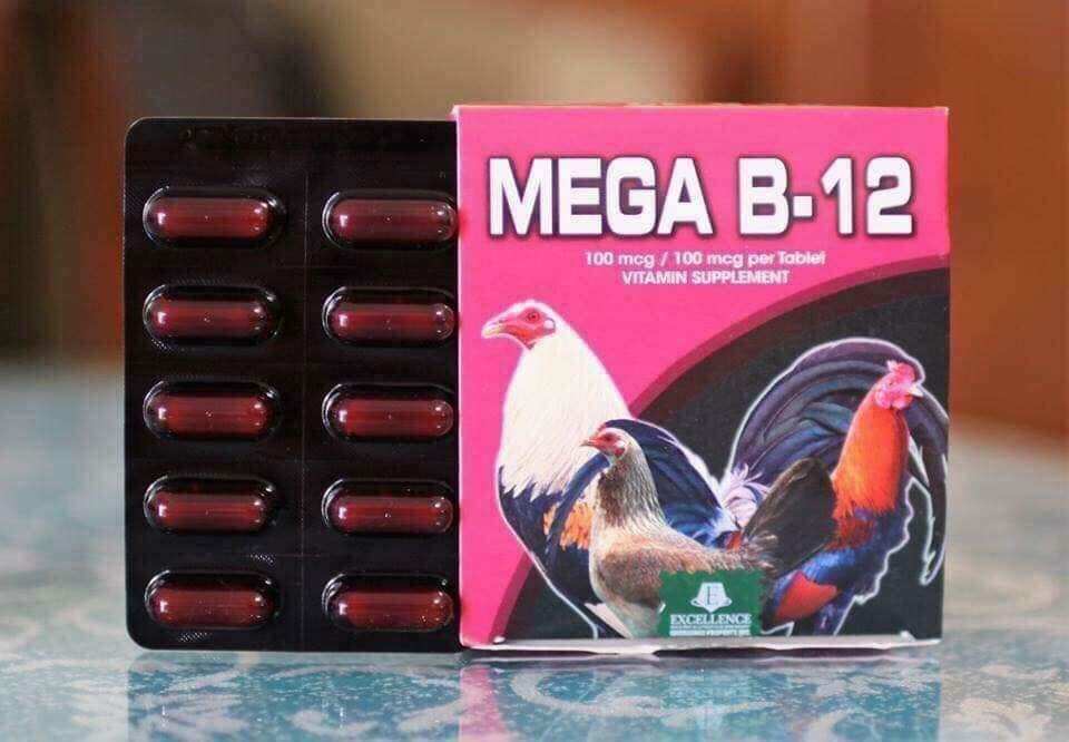 Mega b12 hộp 100v lên nước máu cho gà