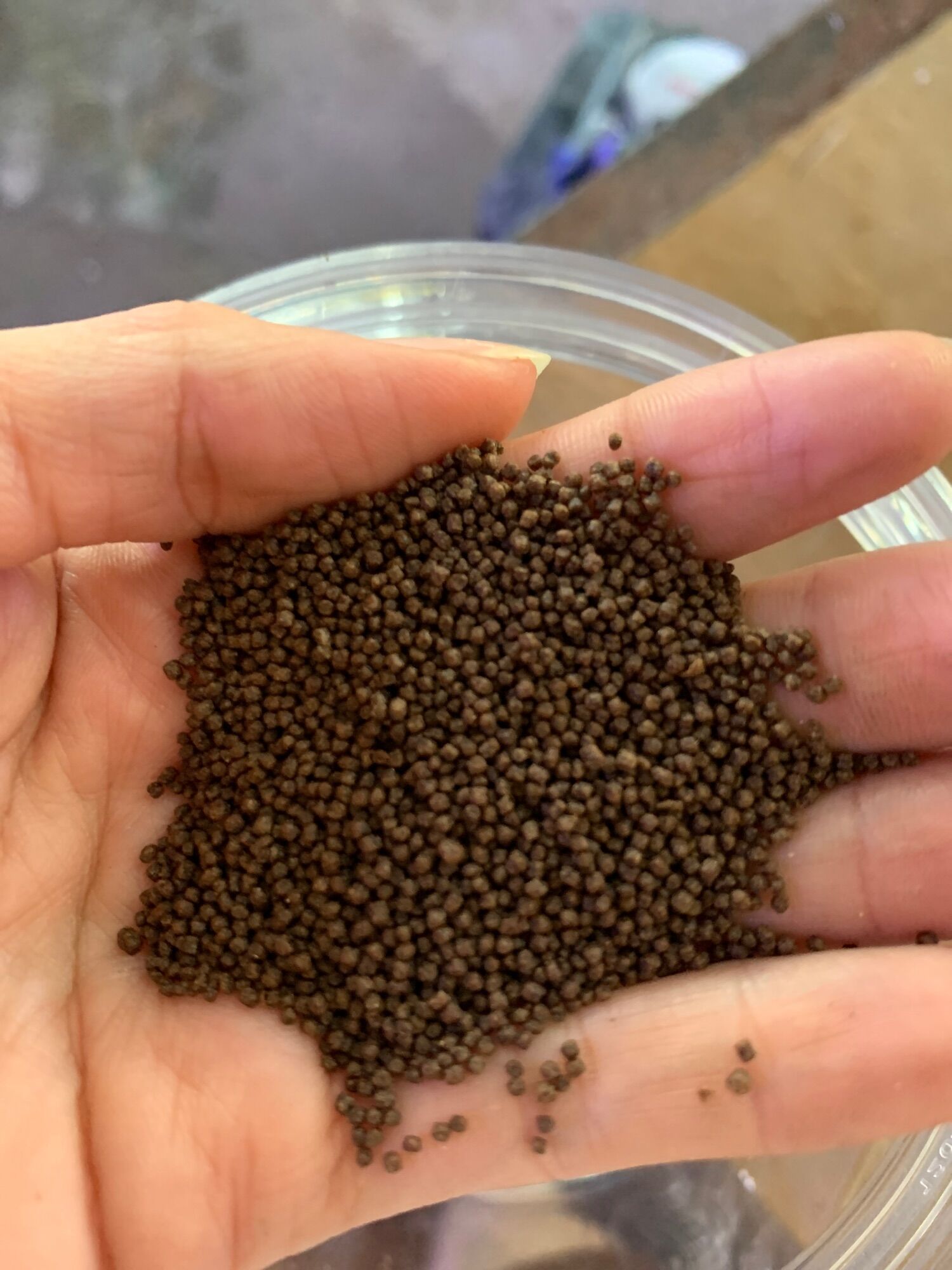 Cám micro 80, cám cho cá mau lớn túi 100g