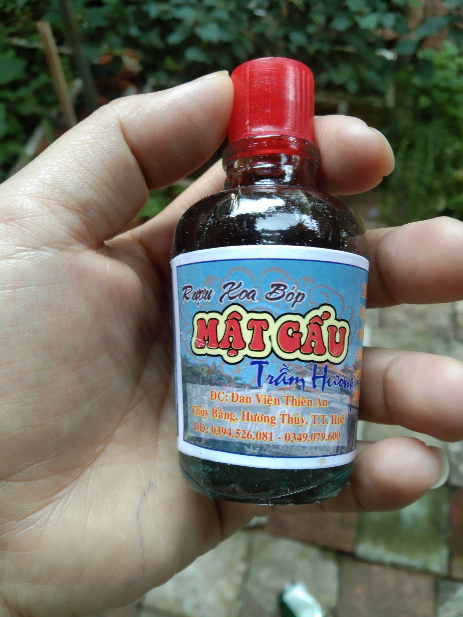 10 chai dầu xoa bóp cây mật gấu trầm hương Đan Viện Thiên An Huế