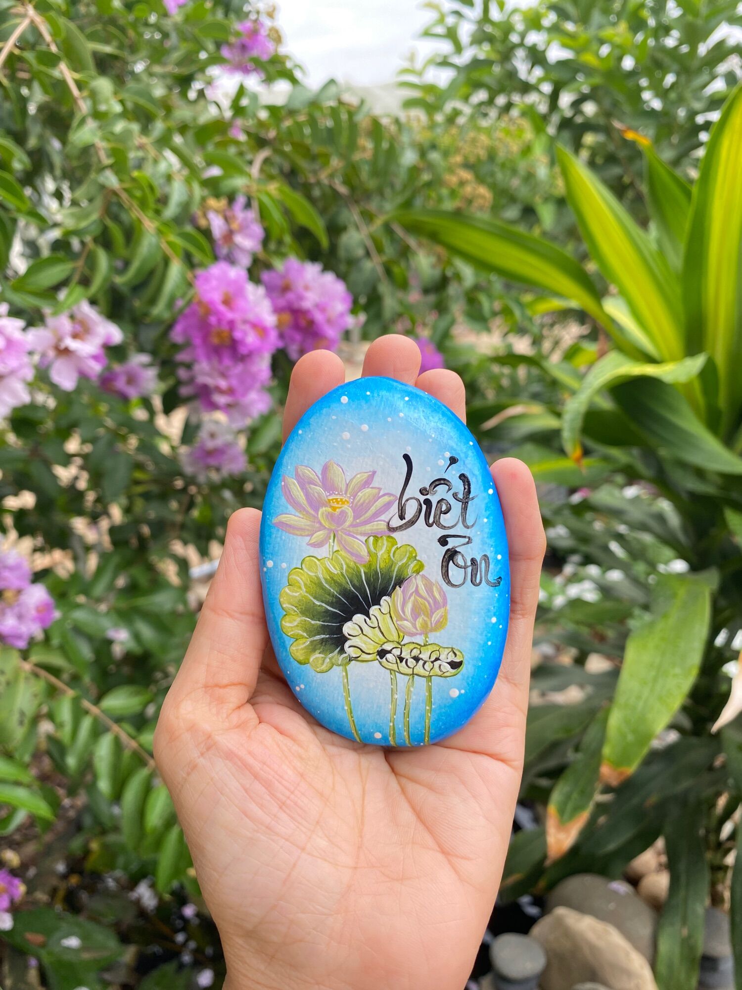 Hòn đá biết ơn mẫu hoa sen