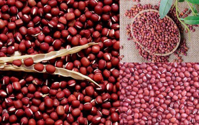 1 Ký Đậu Đỏ Nấu Chè