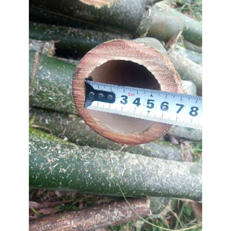 Ống tre nướng thịt cá