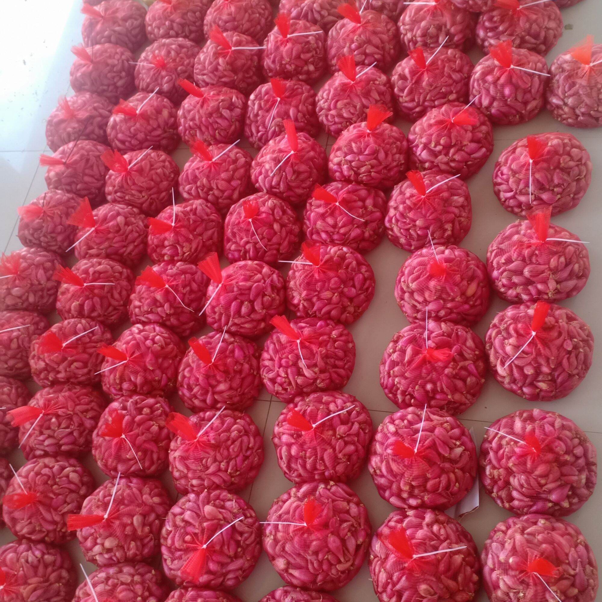 Hành tím Phan Rang chất lượng 1kg