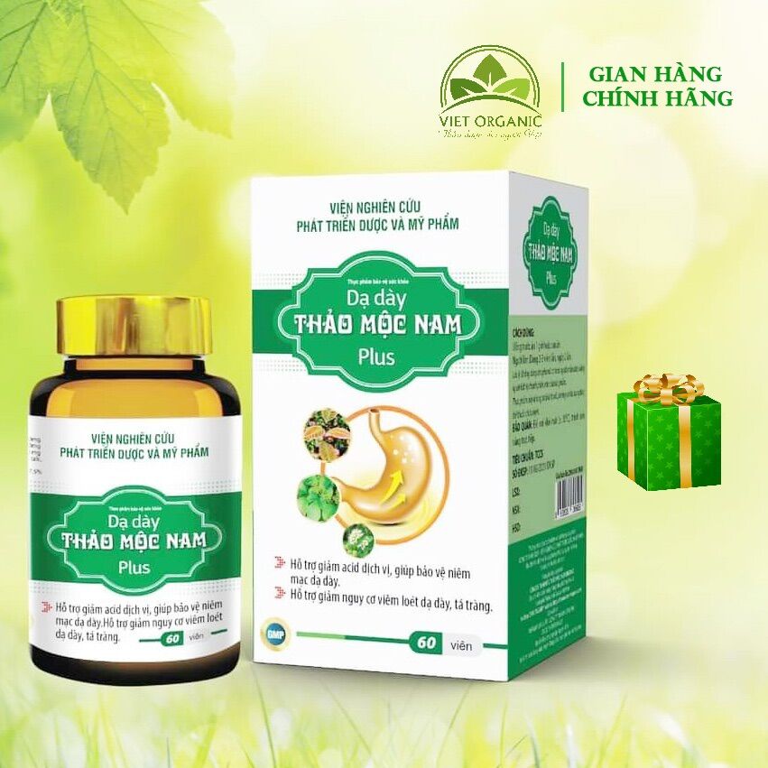 DẠ DÀY THẢO MỘC NAM