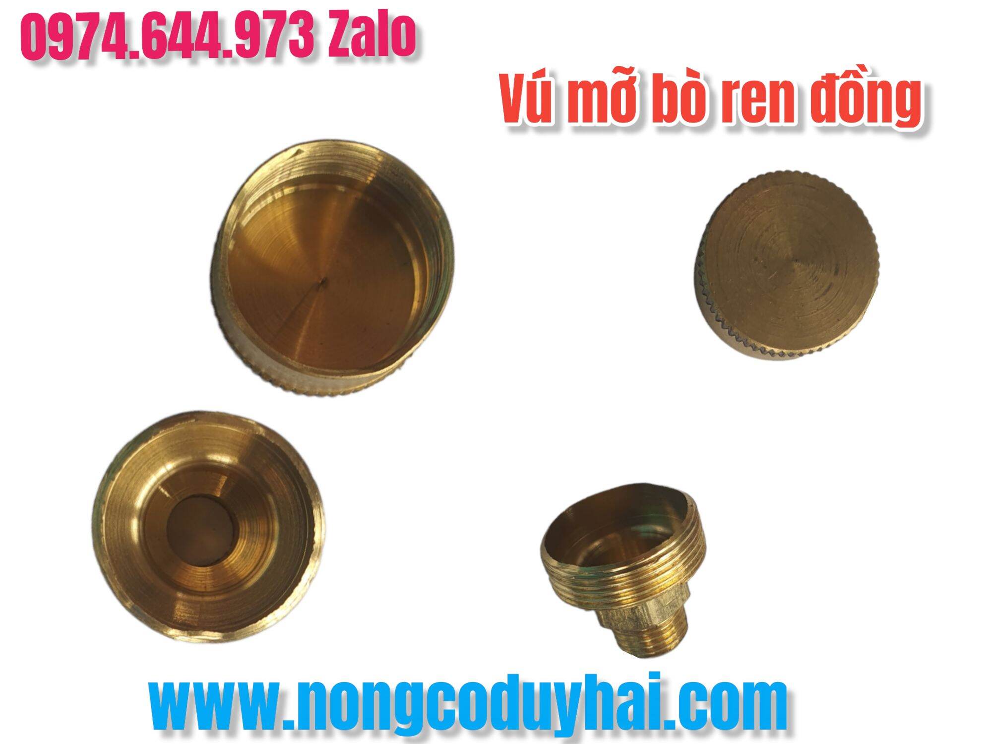 Vú mỡ bò đầu rửa xe ren đồng 8mm