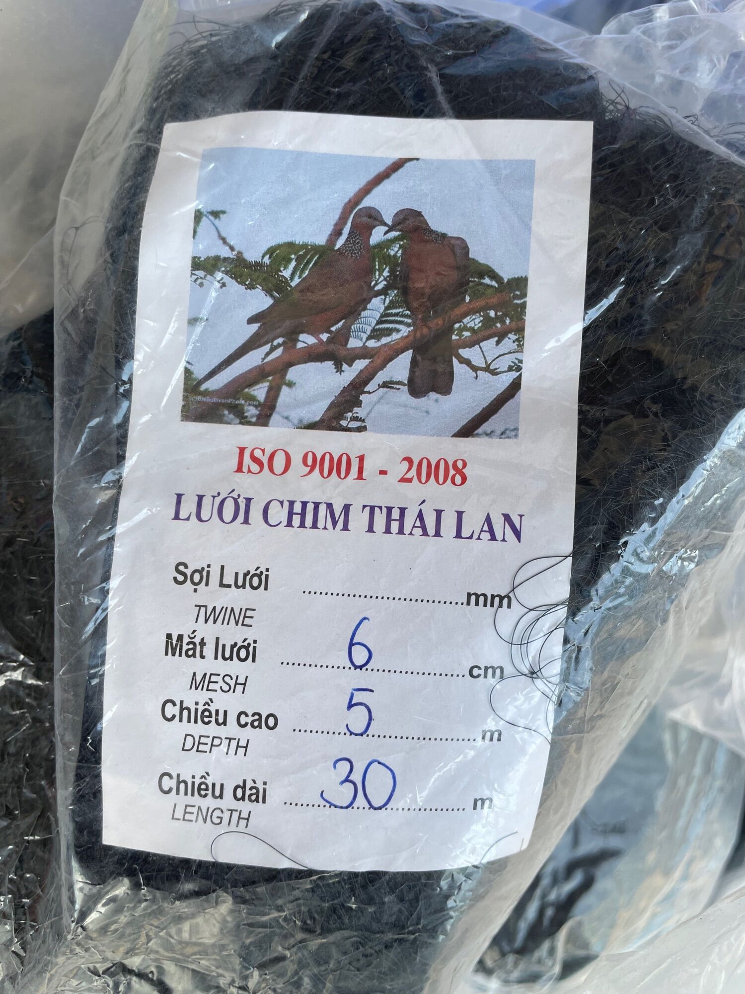 Lưới tàn hình, lưới giăng chim Thái Lan