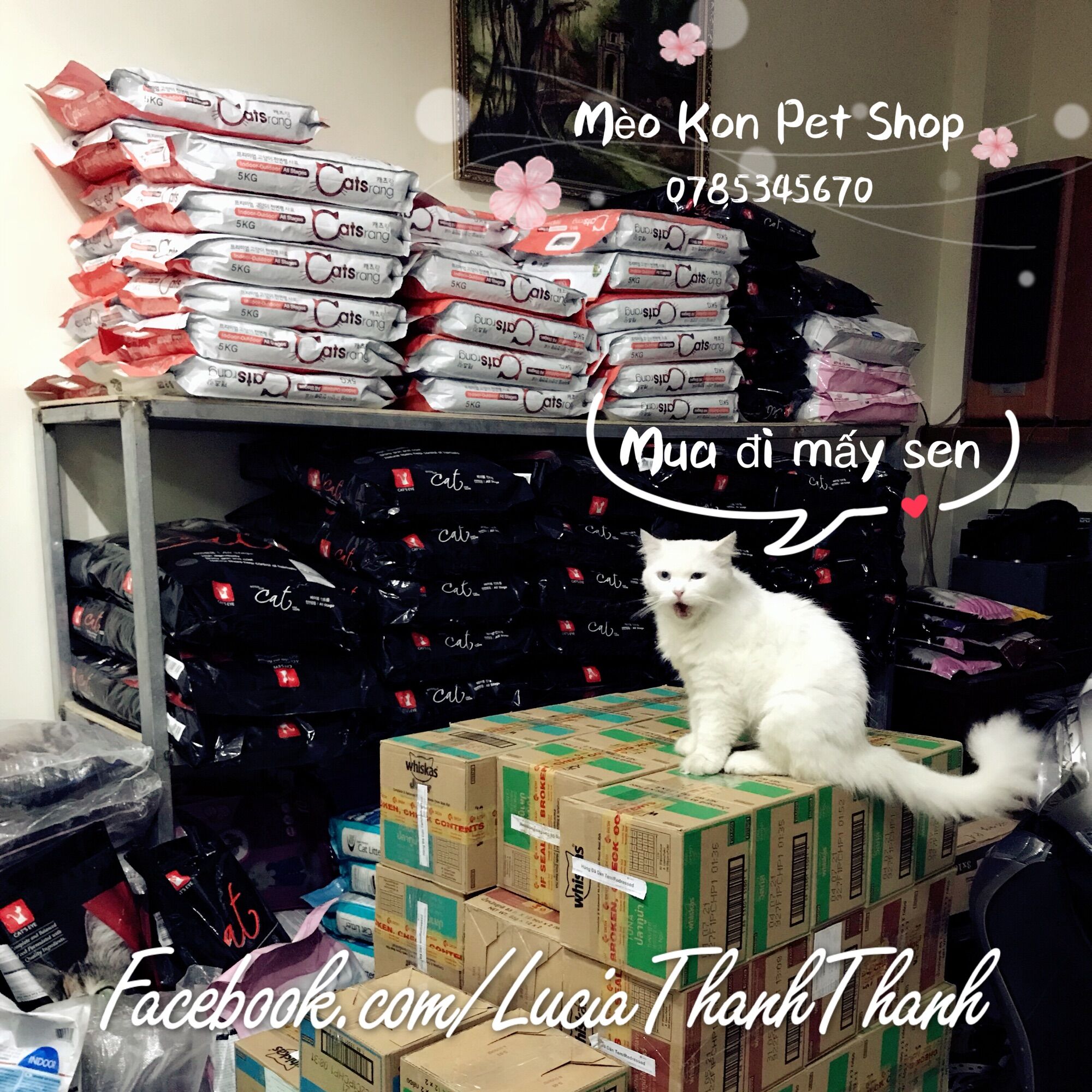 Thức ăn hạt cho mèo Cats eye 13.5 kg