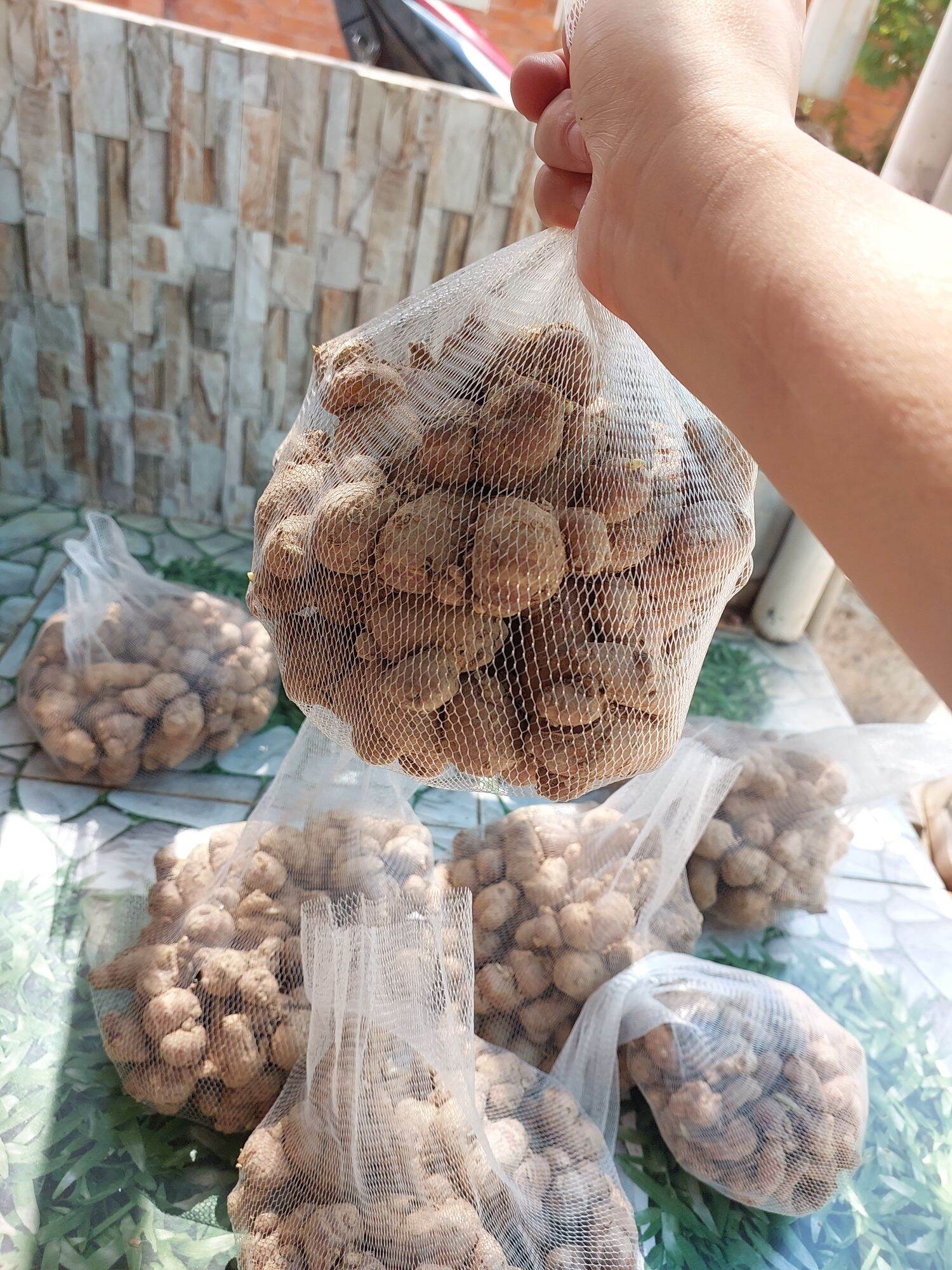 củ xá kén, địa liền tươi 500g KHÔNG LẪN CỦ NON