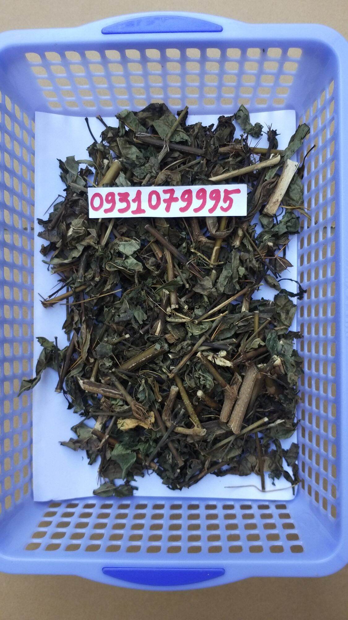 cây kim vàng phơi khô 1kg