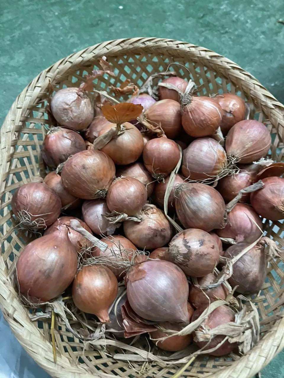 1ký củ hành Tím ( Loại củ to