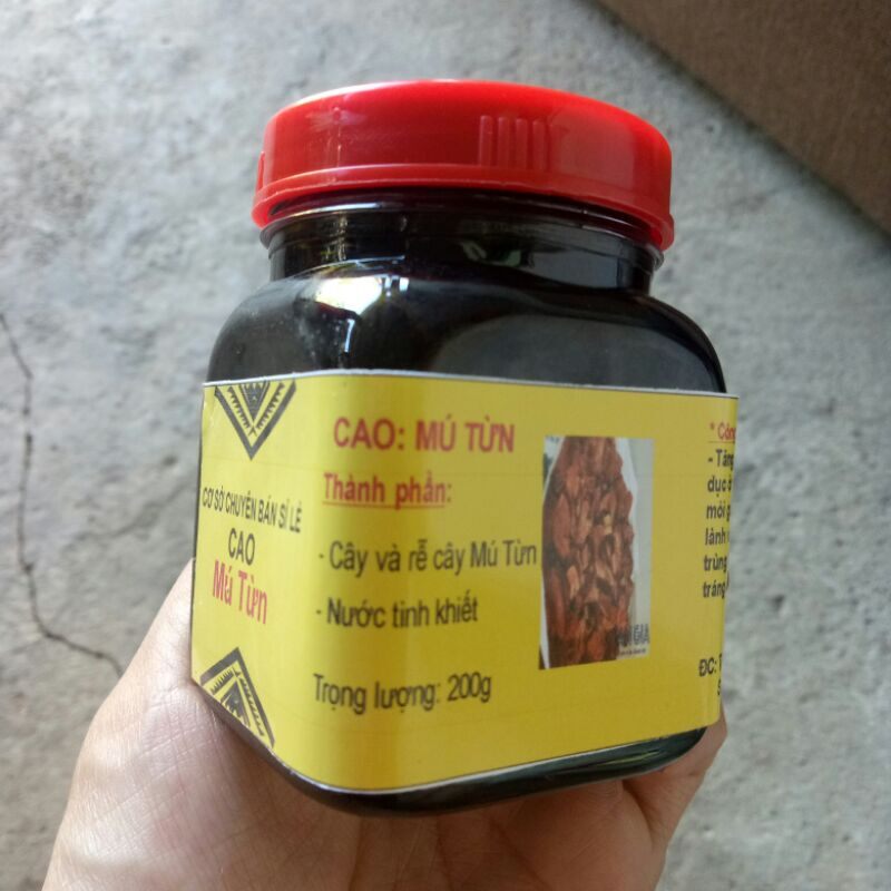 Cao mú từn chua yeu sinh ly