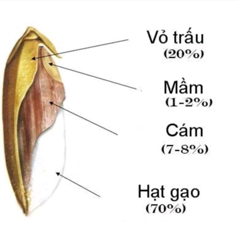 5 Ký Cám gạo, thức ăn vịt gà, chim, lợn
