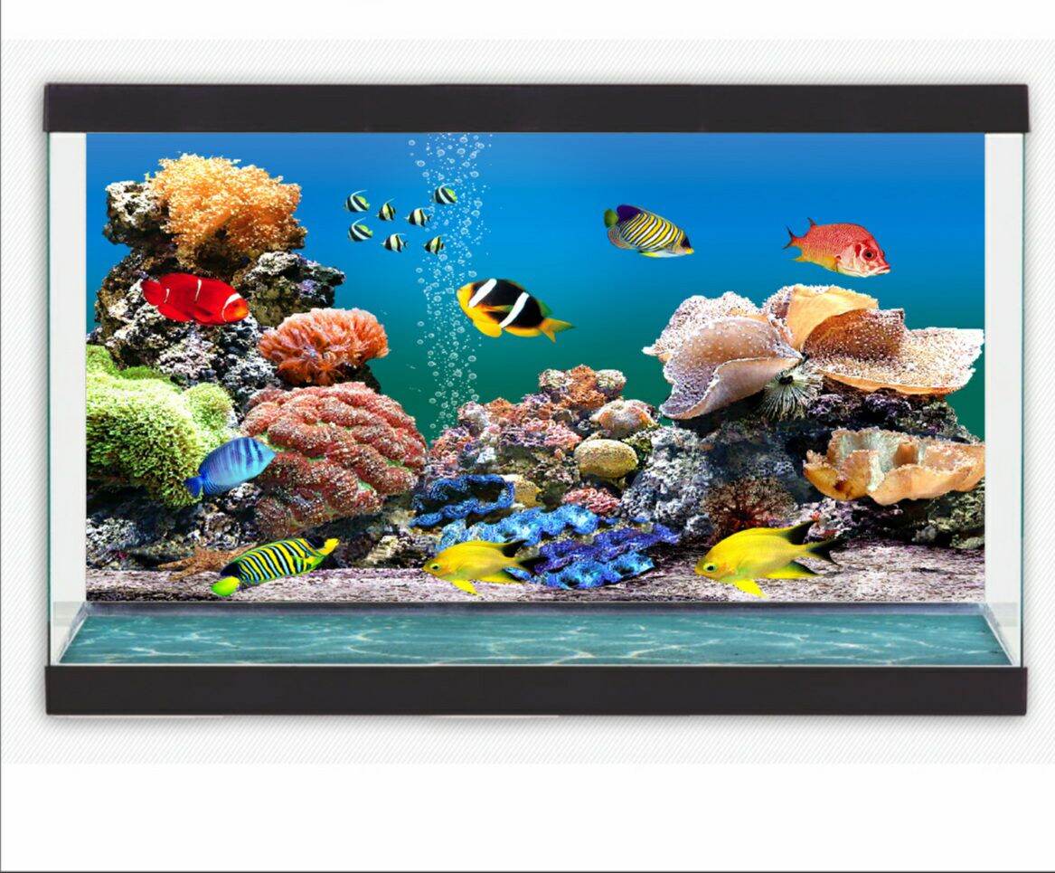 tranh 3d dán hồ cá  DECAL VIP- IN THEO KÍCH THƯỚC HỒ ( tranh lưng )