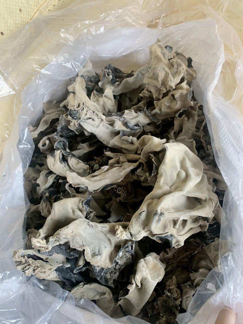 100gr mọc nhĩ ( nấm mèo)