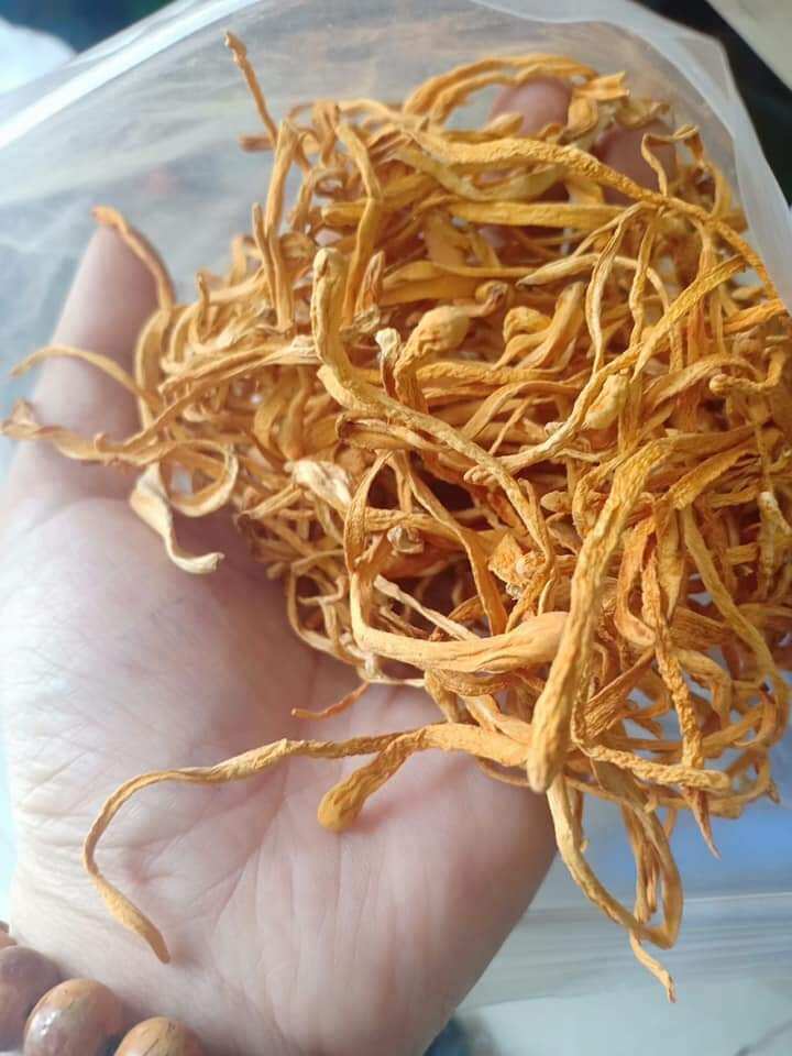 Aromatic Dried Horizontally Sliced Cordyceps 1kg