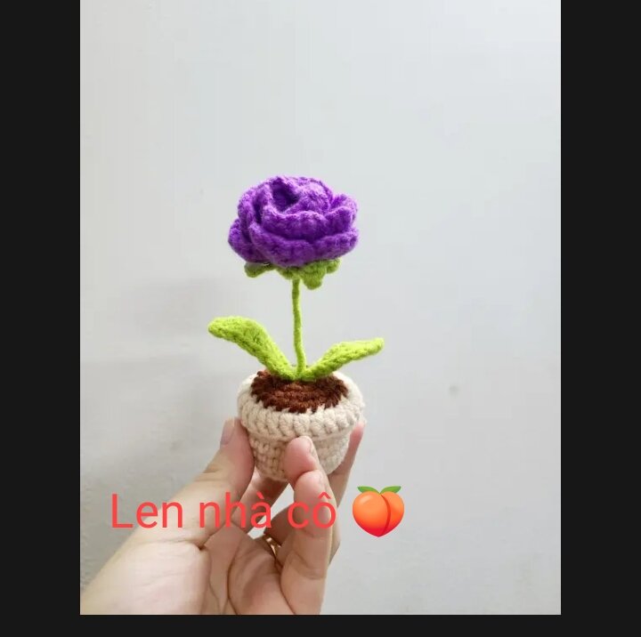 Hoa Hồng Len Handmade