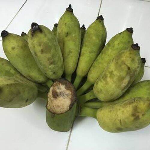 Chuối Xiêm Bến Tre 1kg