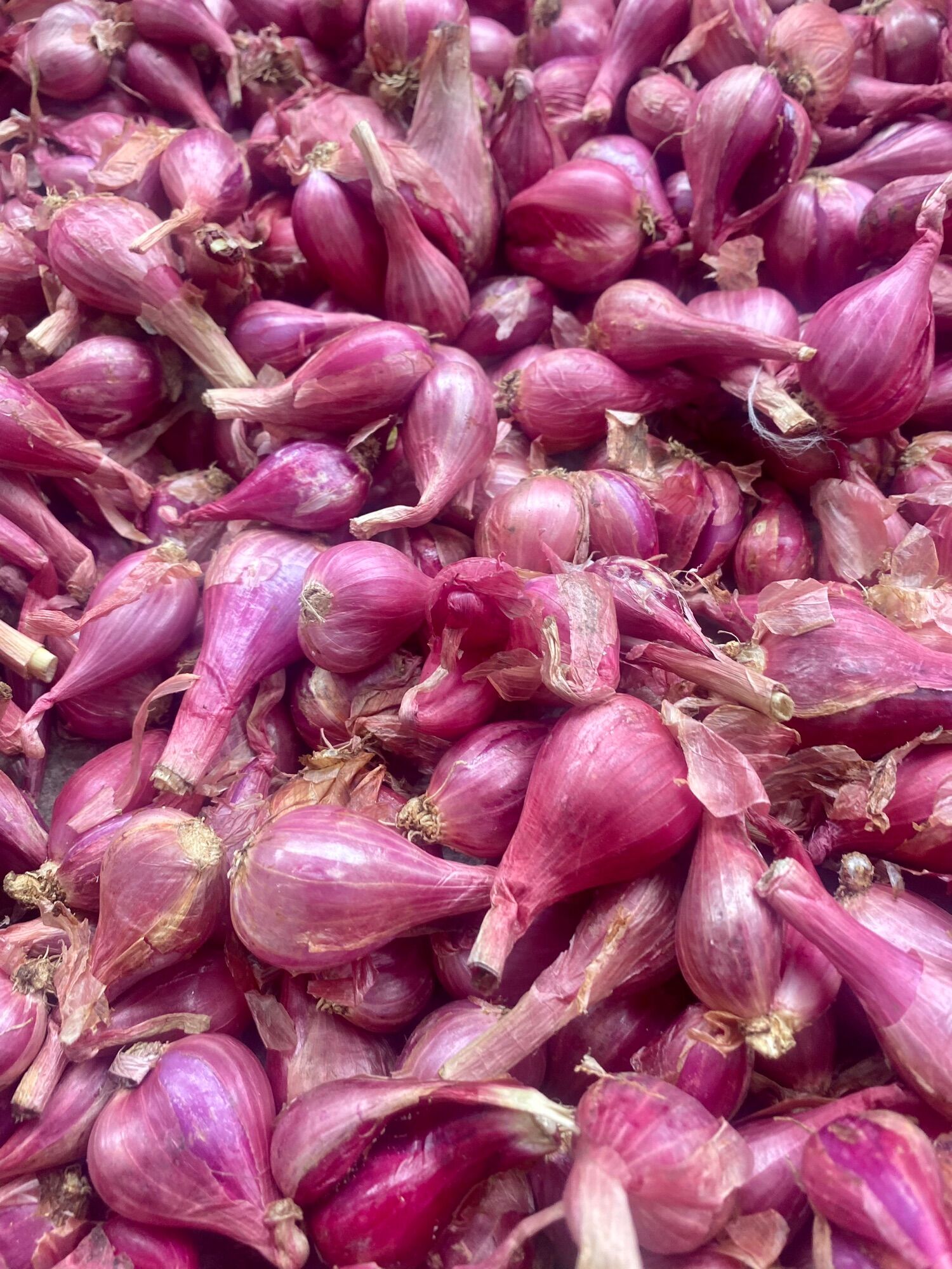 [HCM]HÀNH TÍM LÝ SƠN (1KG)