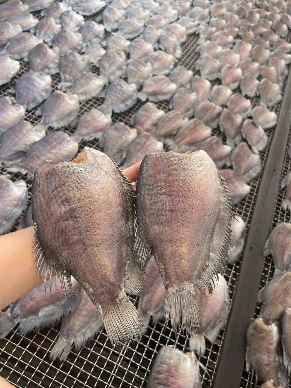 KHÔ SẶC BỔI LẠT 2 NẮNG CÀ MAU (1kg) (10-12 CON) XÁC NHẬN CHAT CHẮC CHẮN MUA HÃY ĐẶT Ạ - nhận hàng bảo quản ngăn đá nhé ạ