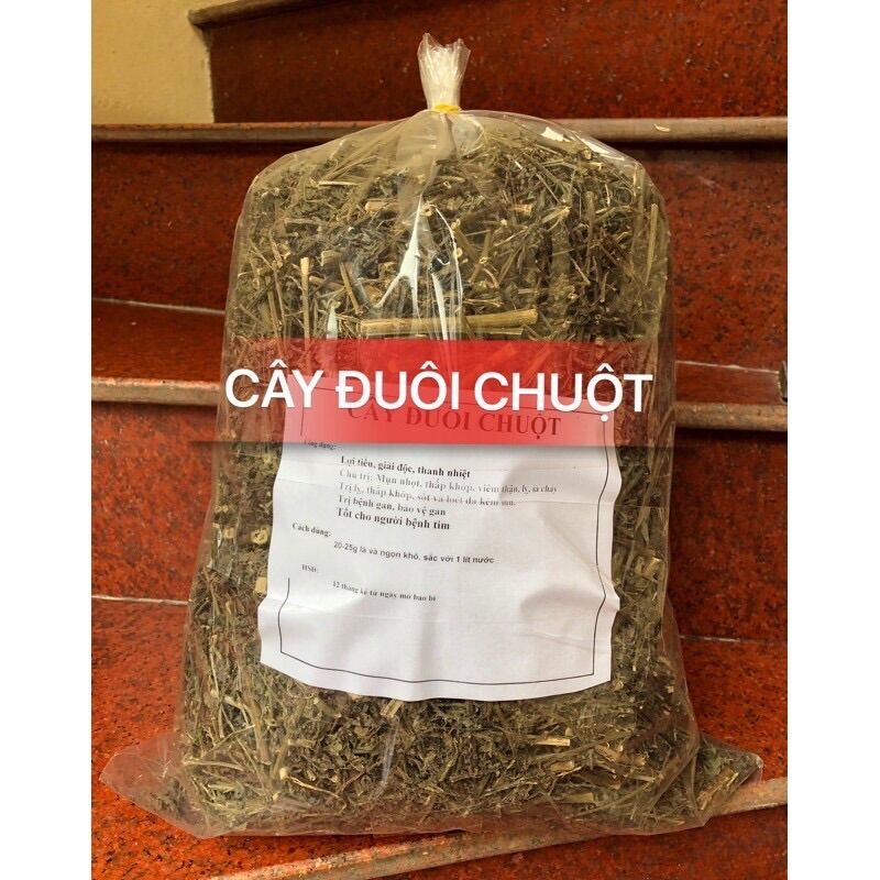 Cây đuôi chuột khô 1kg hàng xanh sạch đẹp tốt cho người bị mụn nhọt