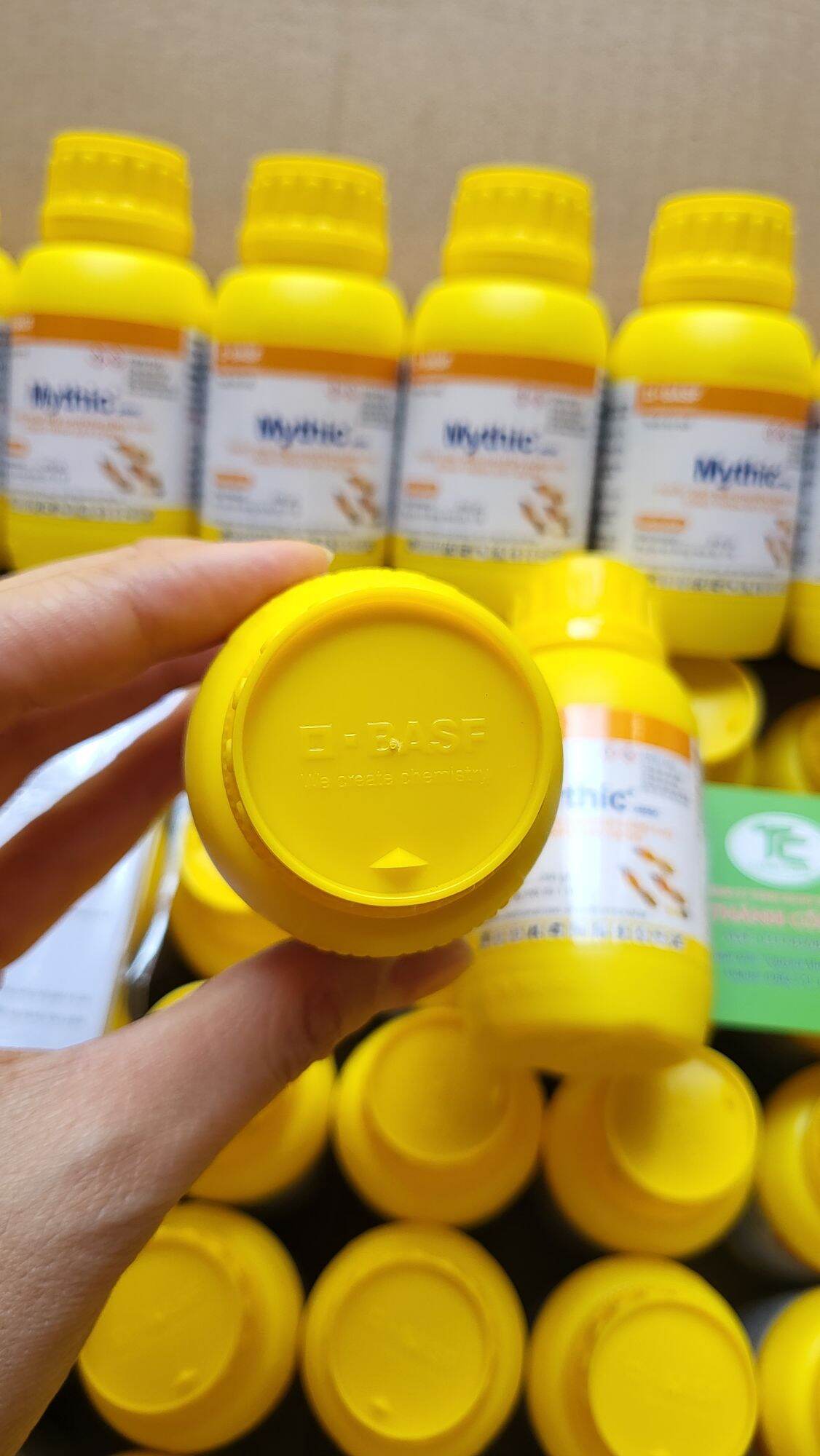 (Tặng Bình Xịt) Thuốc diệt mối Mythic 240SC Bafs CHLB Đức 100ml cao cấp