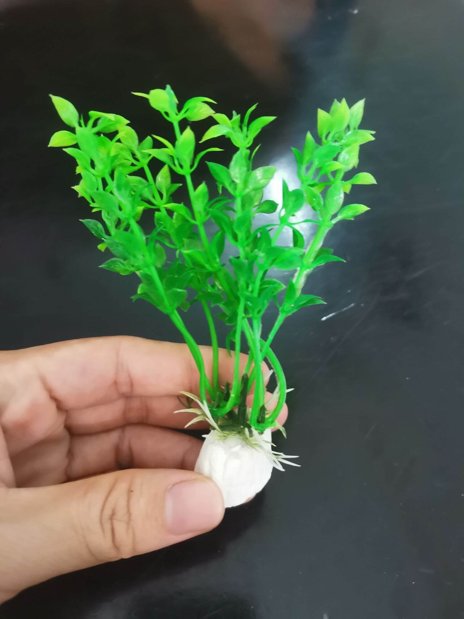 Cây nhựa mini trang trí hồ nhỏ