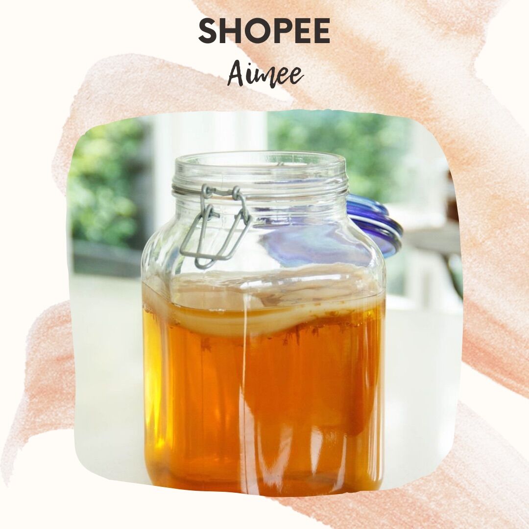 Trà Kombucha, giống Kombucha