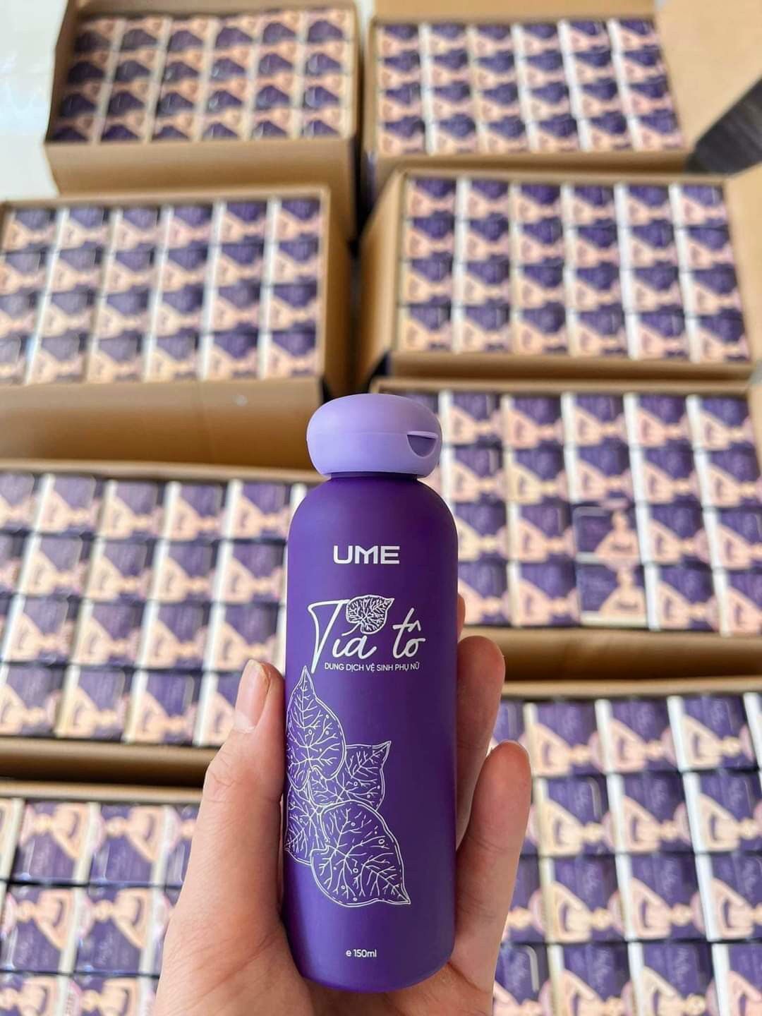 Dung dịch vệ sinh UME Tía Tô