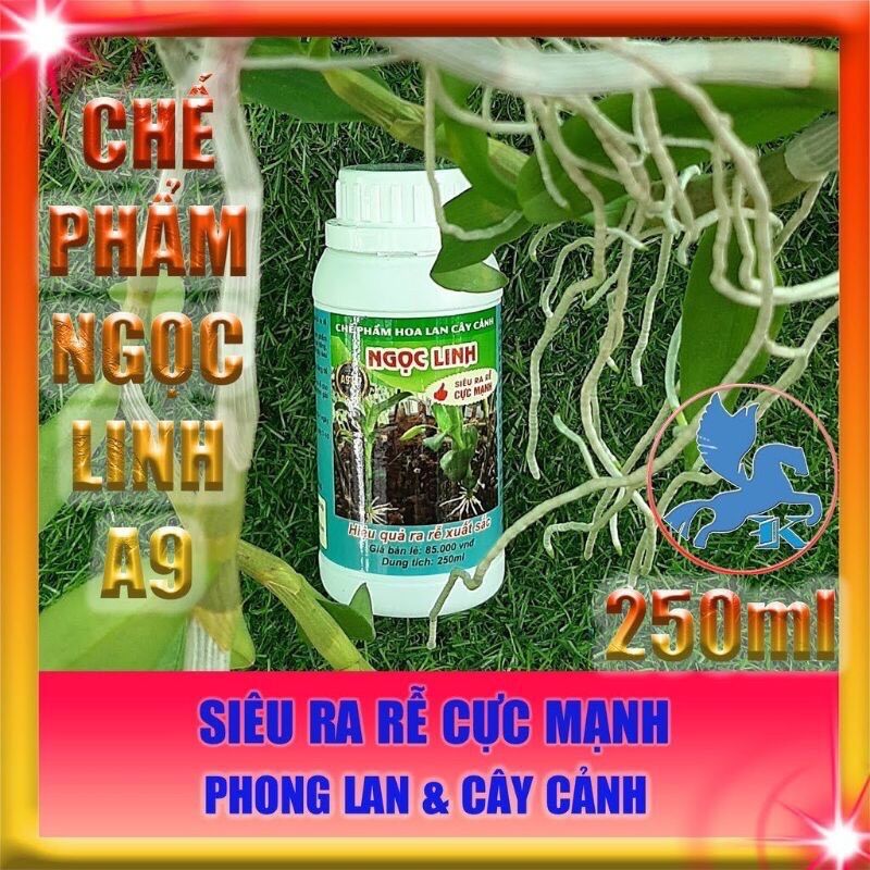 Chế phẩm hoa lan cây cảnh NGỌC LINH Siêu ra rễ cực mạnh A9 vip ngọc linh
