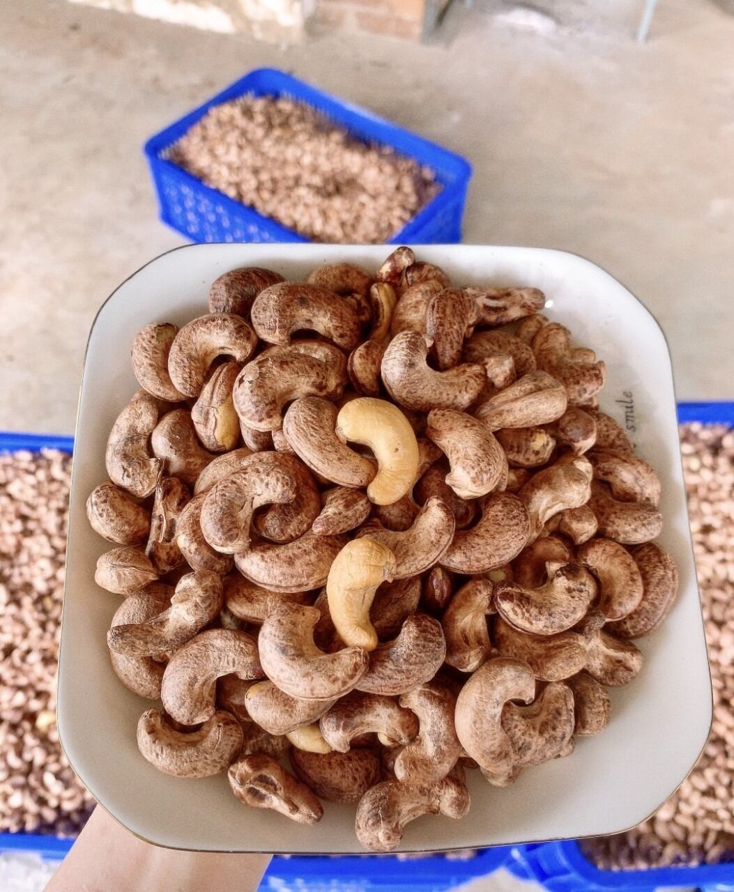 Hạt điều rang muối Bình Phước loại A cồ 500g