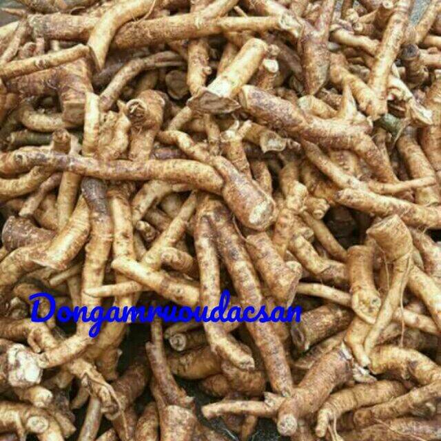 RỄ ĐINH LĂNG NẾP Tươi  1KG