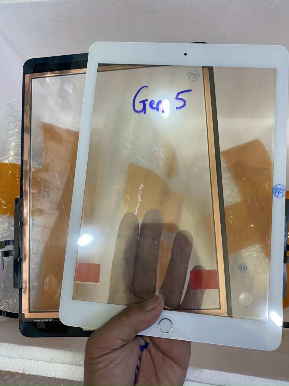 Cảm ứng gen 5/ 9.7-2017