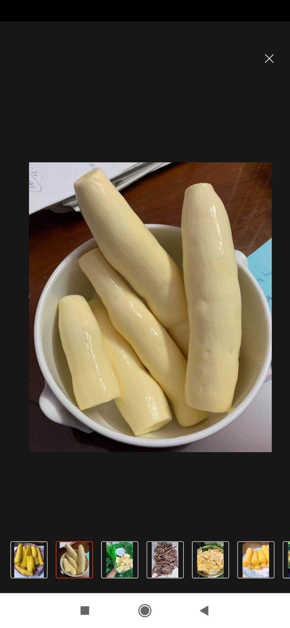 1kg khúc giống củ mì vàng thái lan