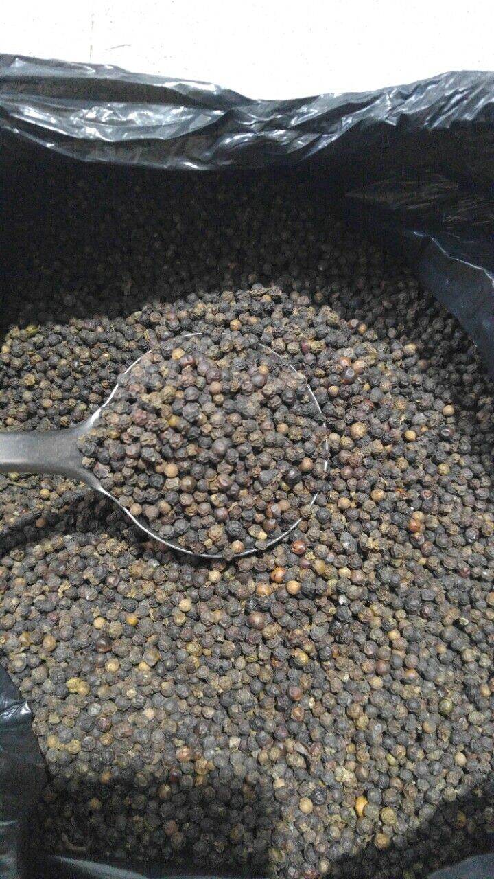 [HCM] 500gr TIÊU HẠT DAKLAK vườn nhà