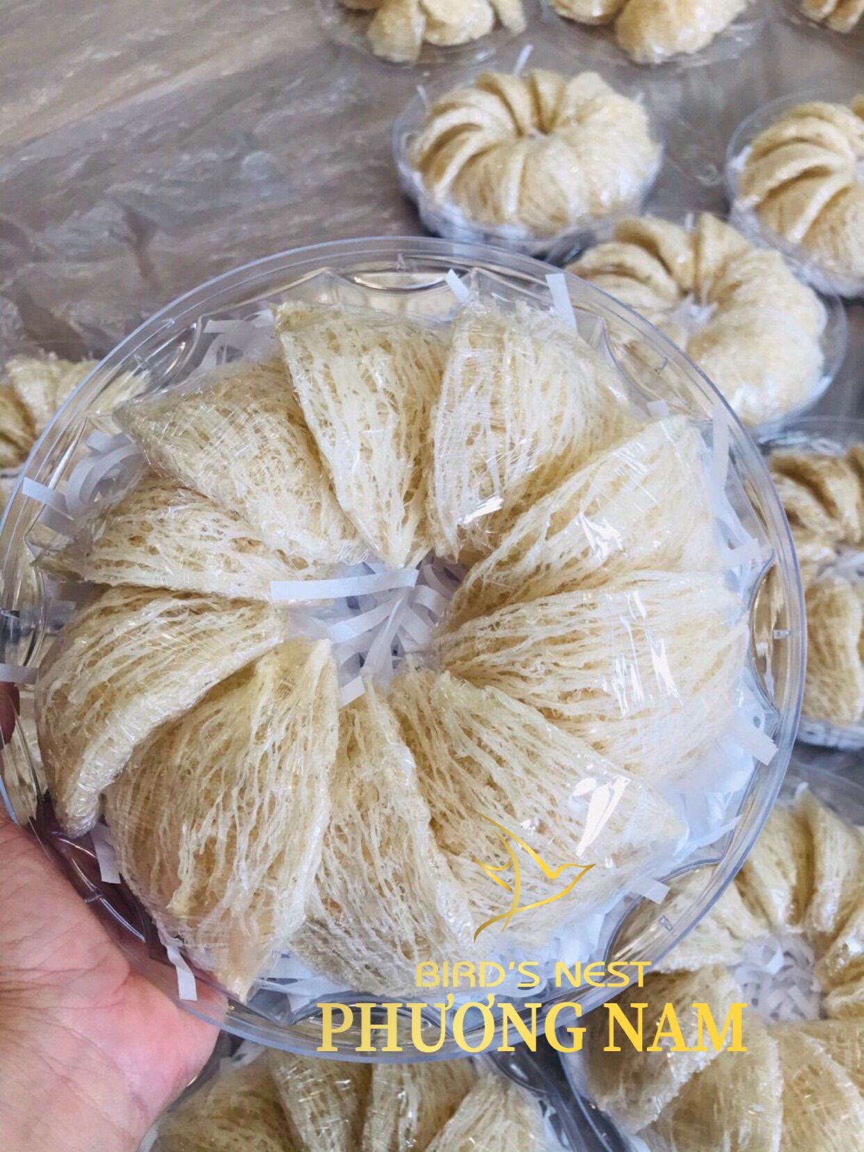 Tổ yến tinh chế 100g 3.200.000