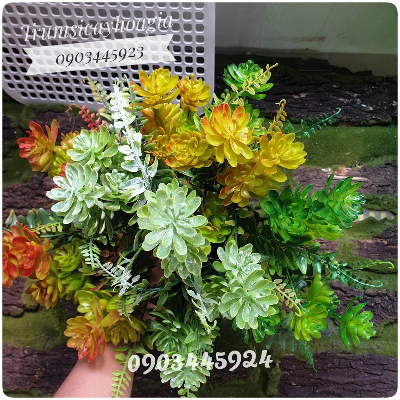 Cụm sen đá nhựa cao 31cm ảnh thật - cây giả