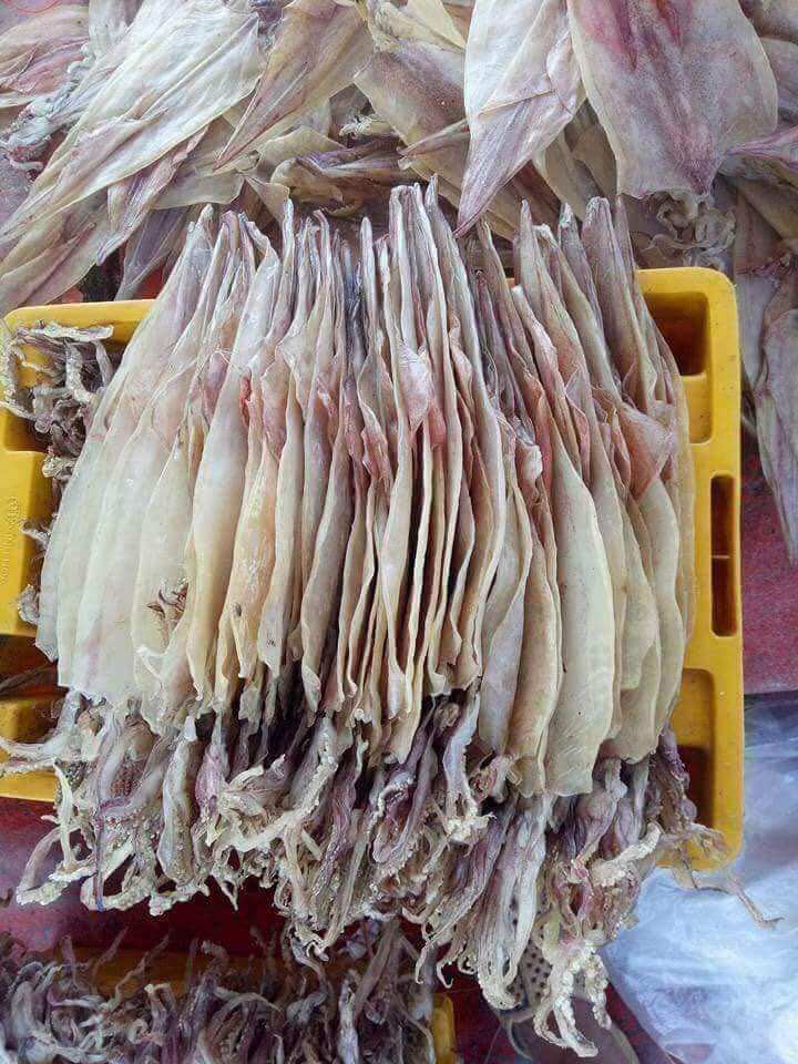 Khô mực ống, lá Cà Mau bịch 26-30con/500gram