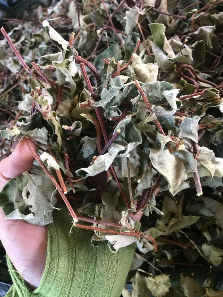 1kg Dây hà thủ ô.lá hà thủ ô phơi khô