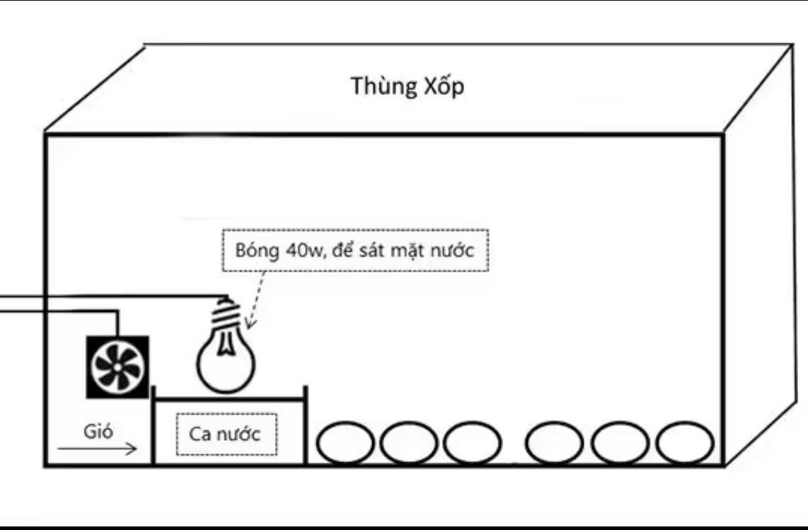 Combo Điều Khiển Máy Ấp Trứng 220v Có bảo hành